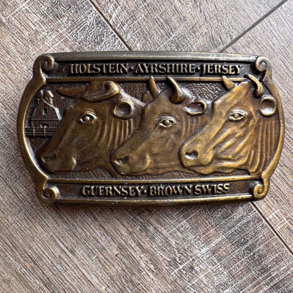 Vintage American Dairy Association Limited Edition Cow Belt Buckle Brass Tone
